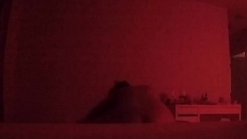 asian whore