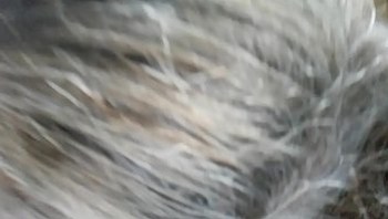 20170422 114235
