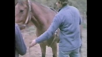 La Perdizione aka Marina's Animals (1986)