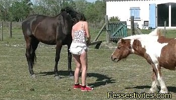 Kioki en couche avec les chevaux CLIP