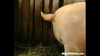 Brunette Lady Farmer Hairy Pussy Barn Fucked