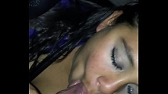 Swallow milk