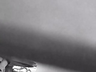 Bull seducing my wife 2